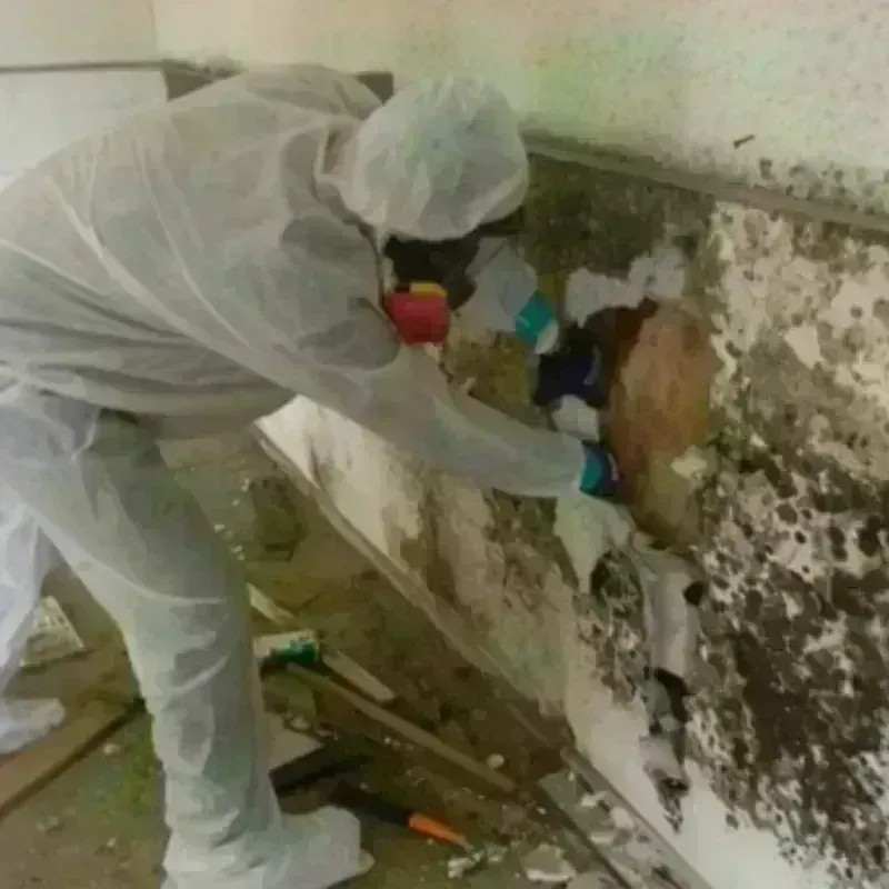 Mold Remediation and Removal in Turnersville, NJ